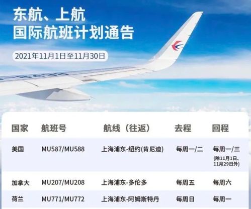 广州疫情源头已查明/ca722航班回国经过